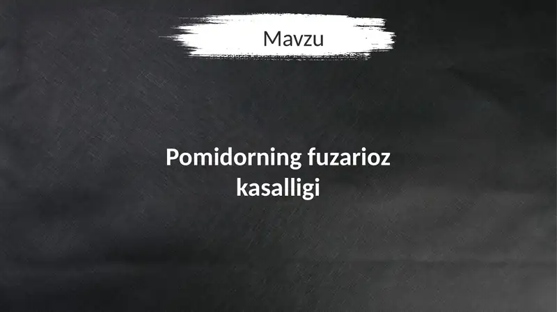Pomidorning fuzarioz kasalligi