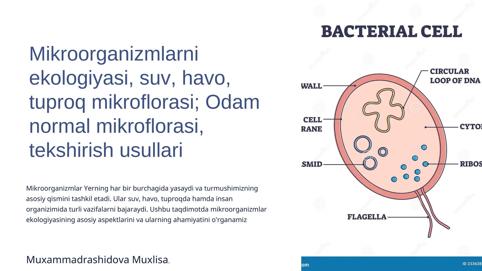 Mikroorganizmlar Ekologiyasiga Kirish