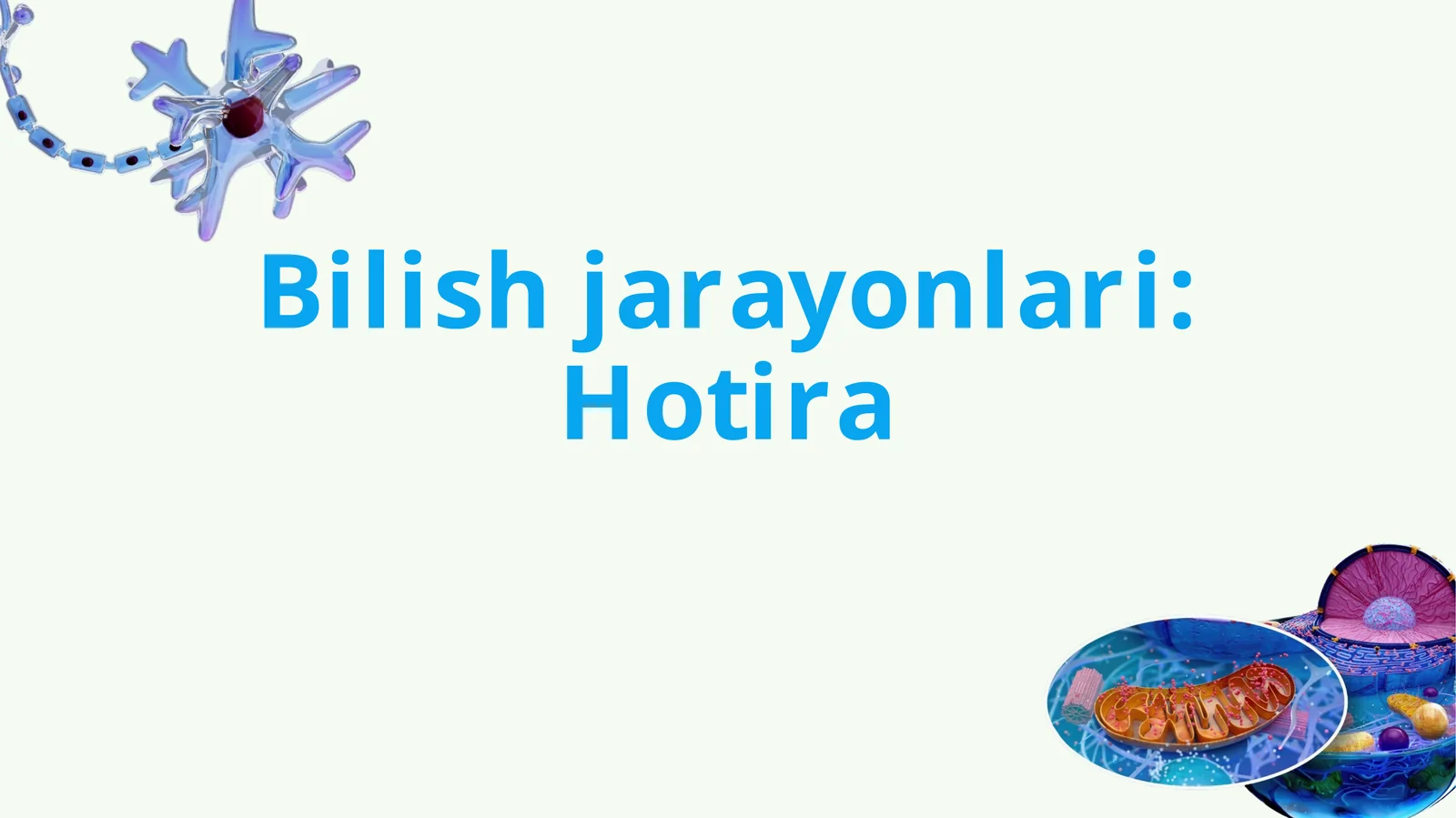 Hotira