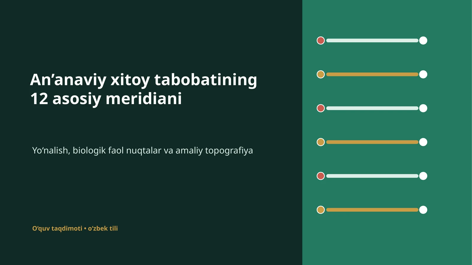 An’anaviy xitoy tabobatining 12 asosiy meridiani