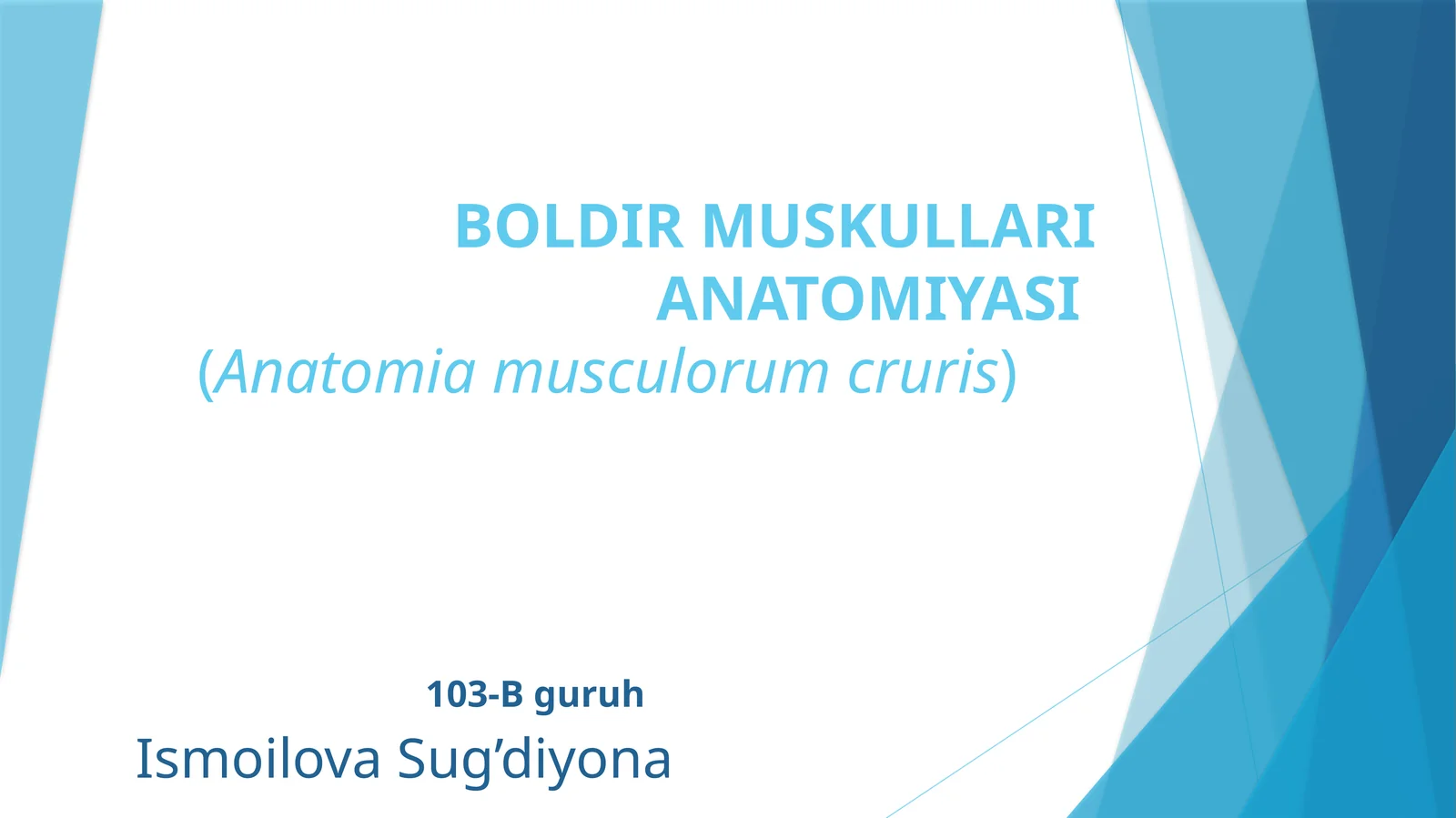 Boldir muskullari anatomiyasi