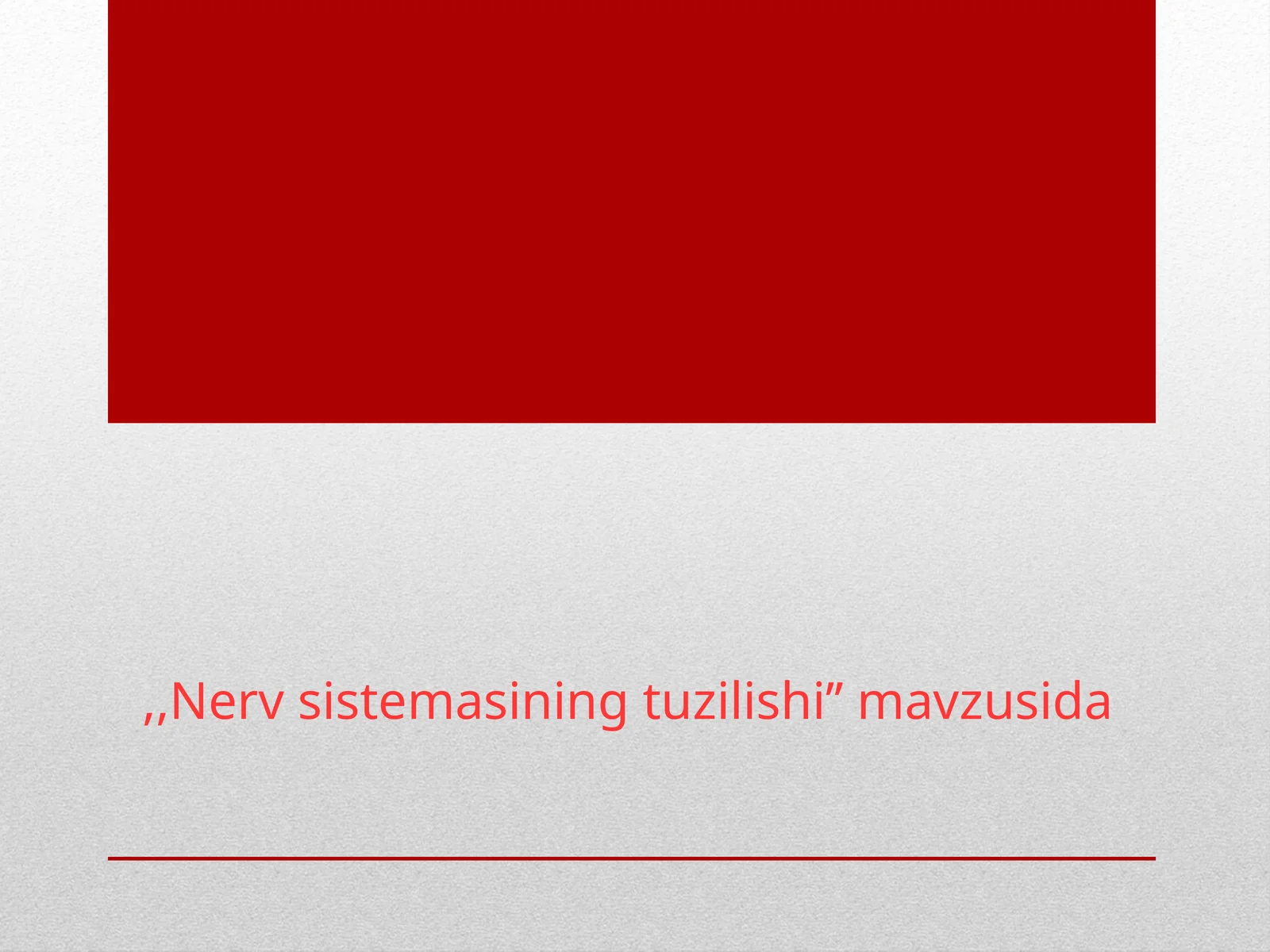 Nerv sistemasi tuzilishi to’g’risida umumiy ma’lumot