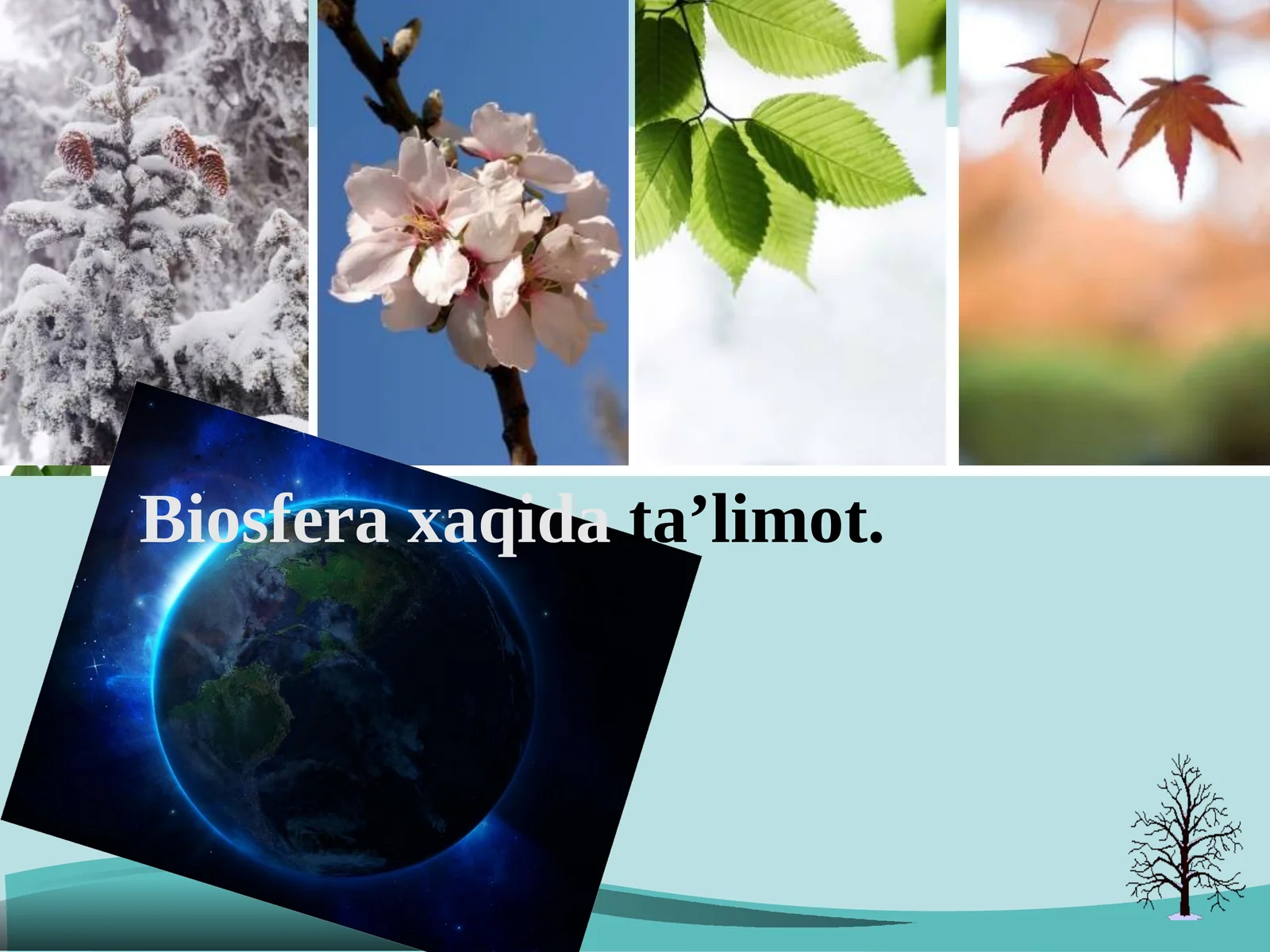 Biosfera xaqidata’limot